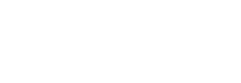 SparkPoint logo, white